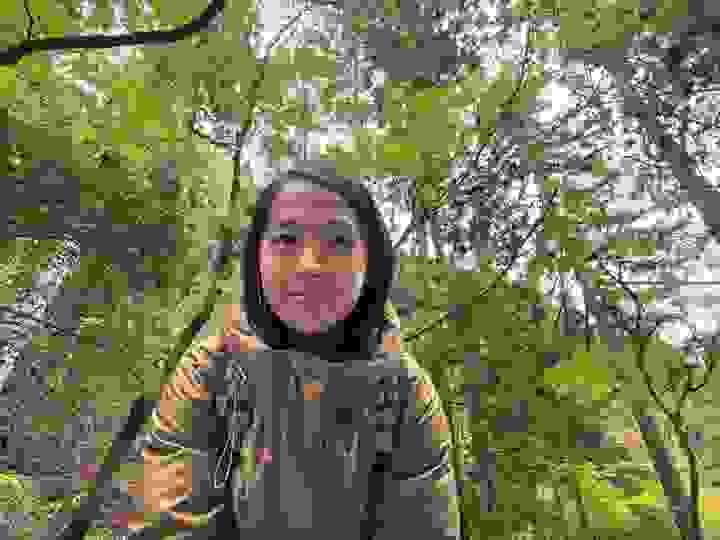 broken image
