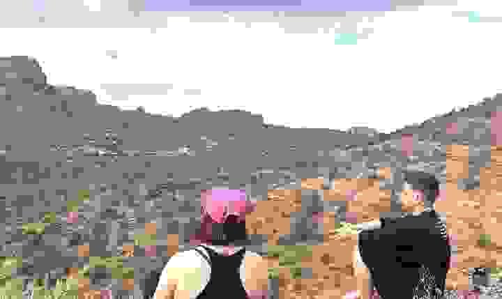 Section image