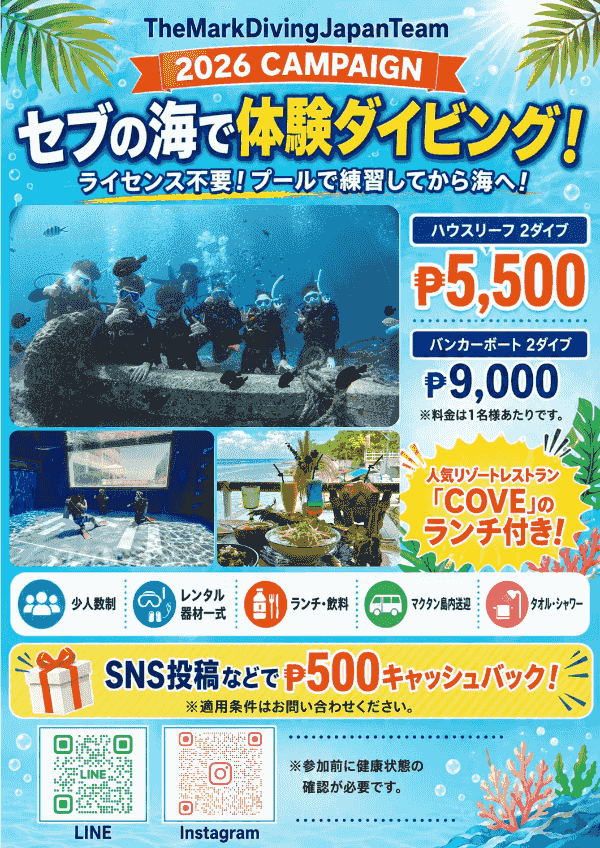 体験ダイビングキャンペーン案内 体験ダイビングキャンペーン案内