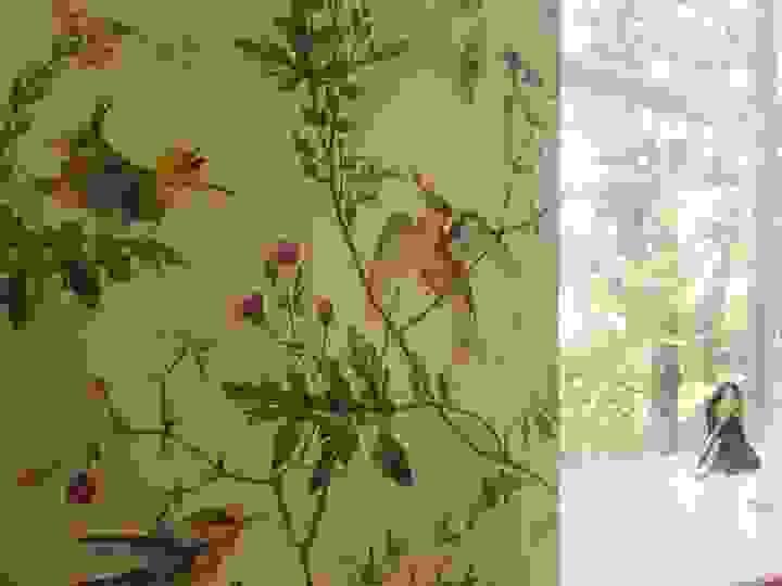 Section image