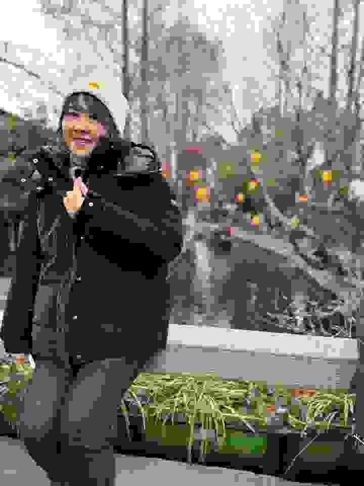 Piano teacher Min Min Tay Piano teacher Min Min Tay