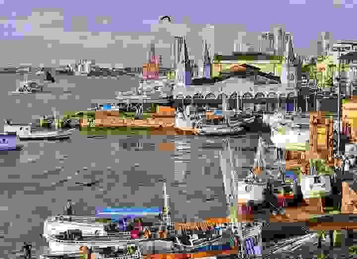 broken image