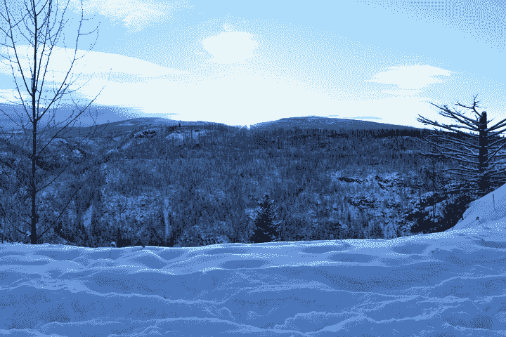 Section image