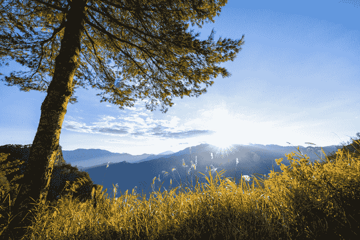 Mt Alishan sunrise