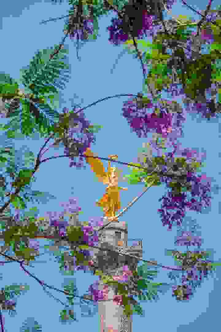 Section image