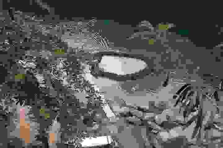 Section image
