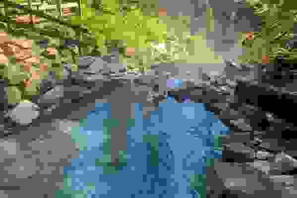 Section image