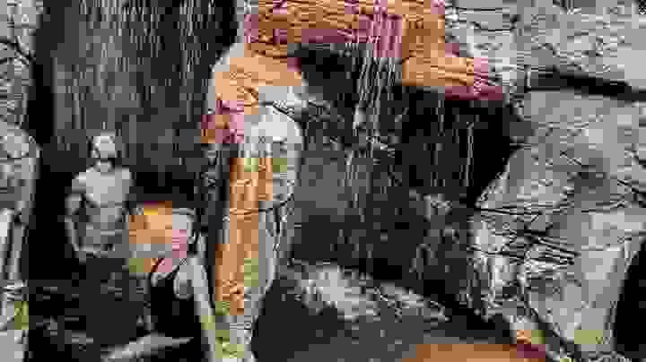 Section image
