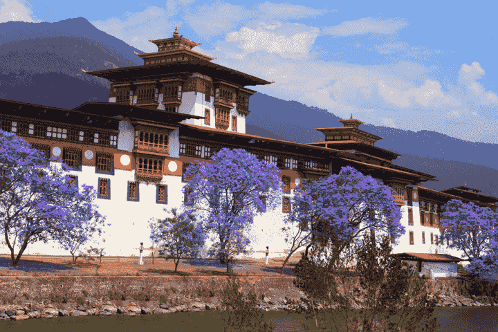 Punakha Dzong Bhuddhist Temple