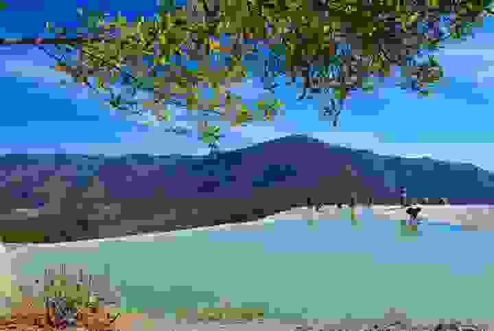 Section image