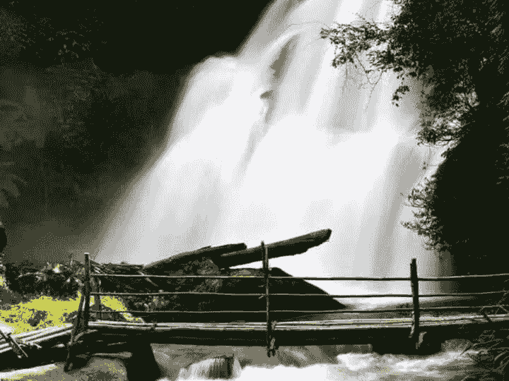 a day tour in Chiang Mai 