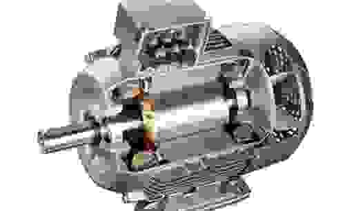 Section image