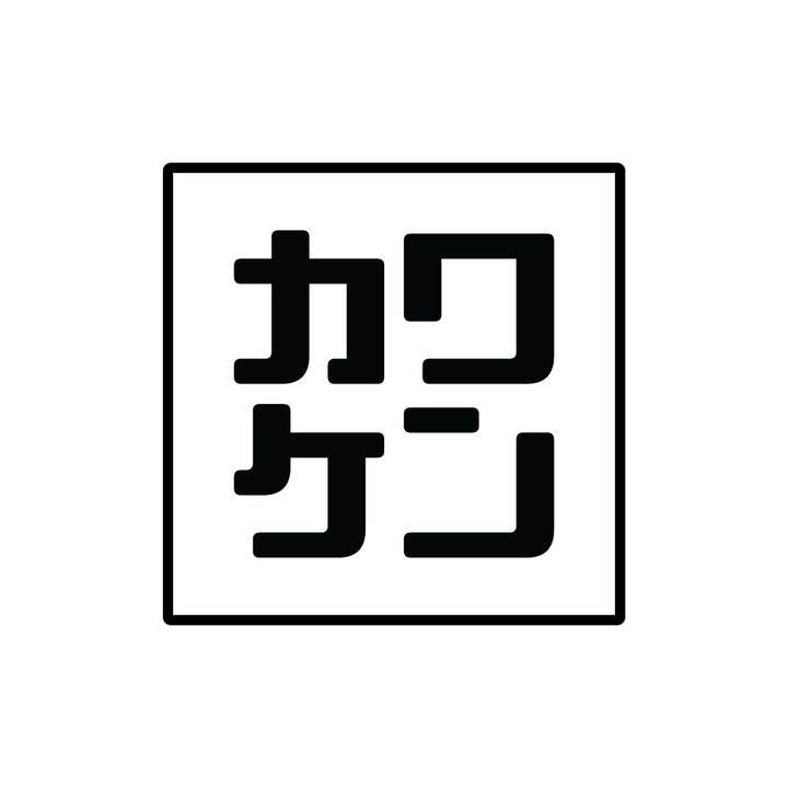 broken image