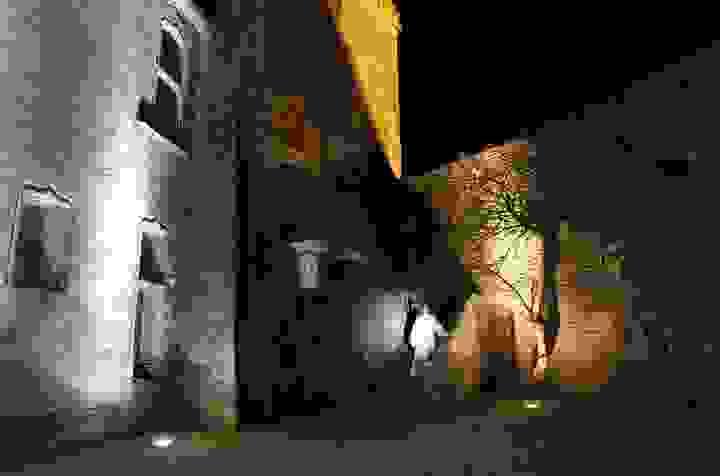Section image
