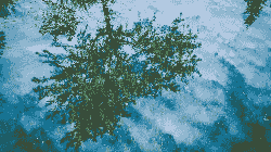 broken image