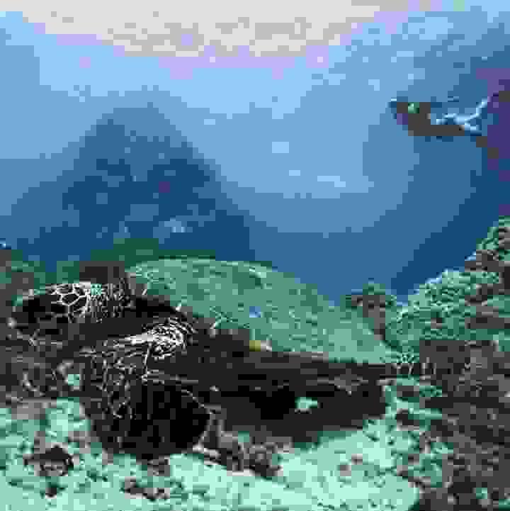 Section image