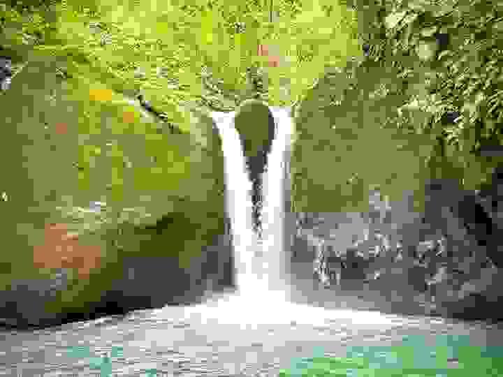 Section image