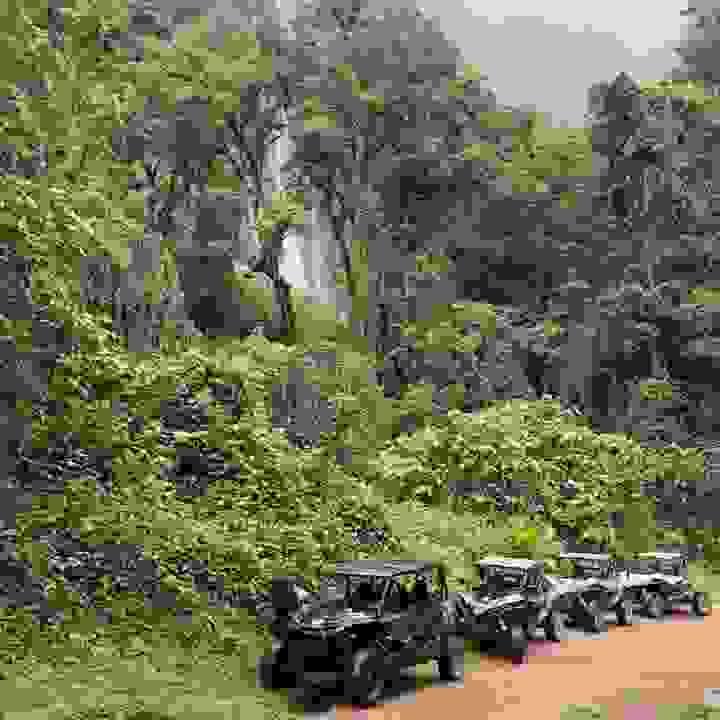 Section image