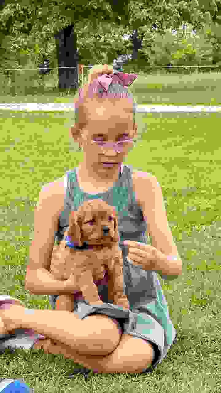 broken image
