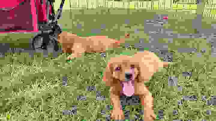 broken image