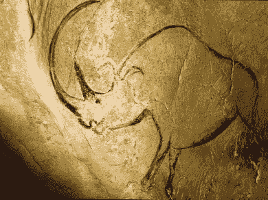 Peinture Rhinocéros Grotte Ornée Chauvet Peinture Rhinocéros Grotte Ornée Chauvet