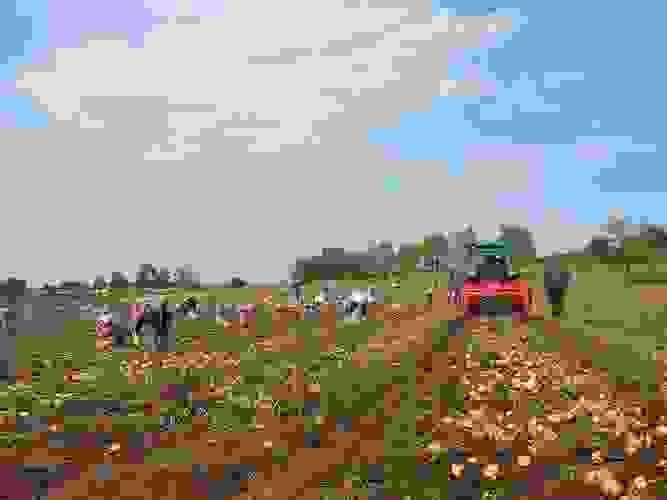 Section image