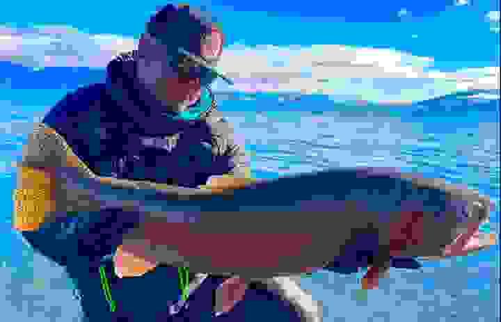 broken image