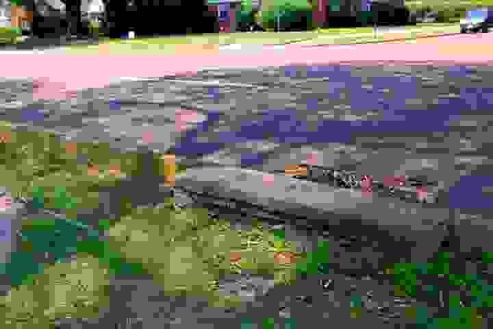 broken image