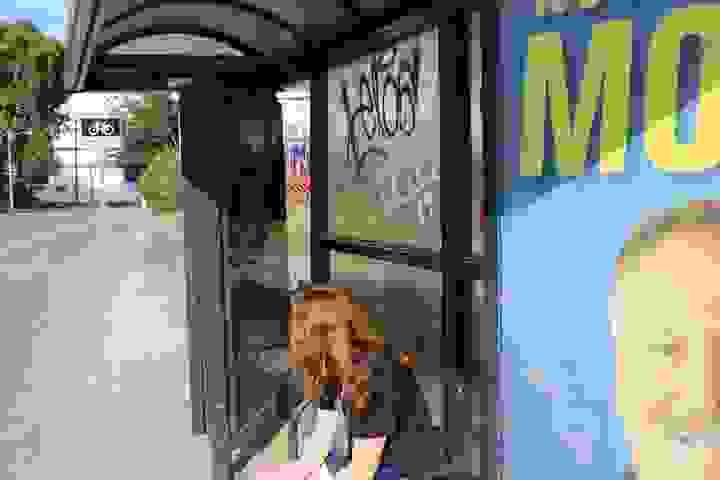broken image