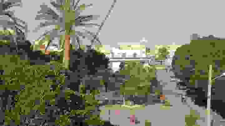 Section image