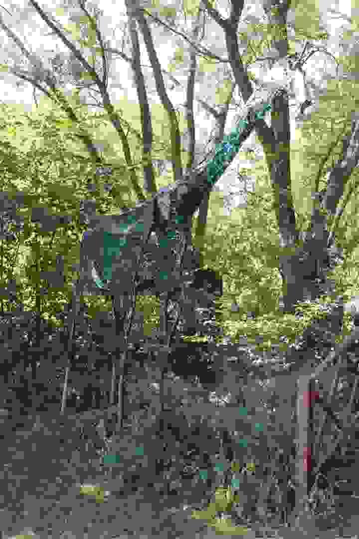 Section image