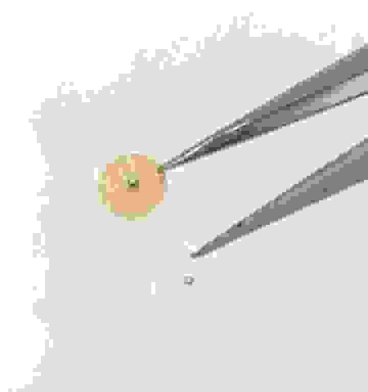 Section image