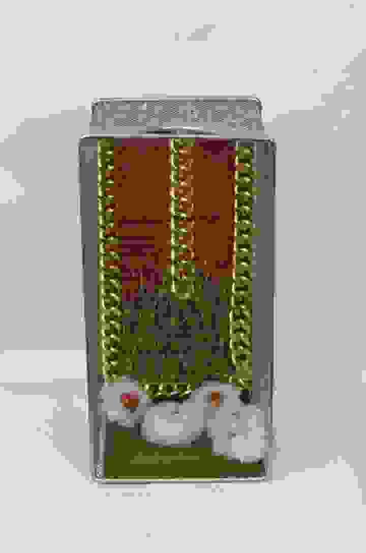broken image