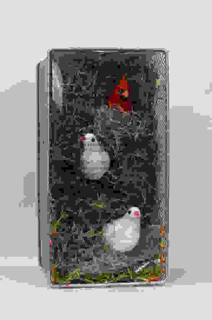 broken image