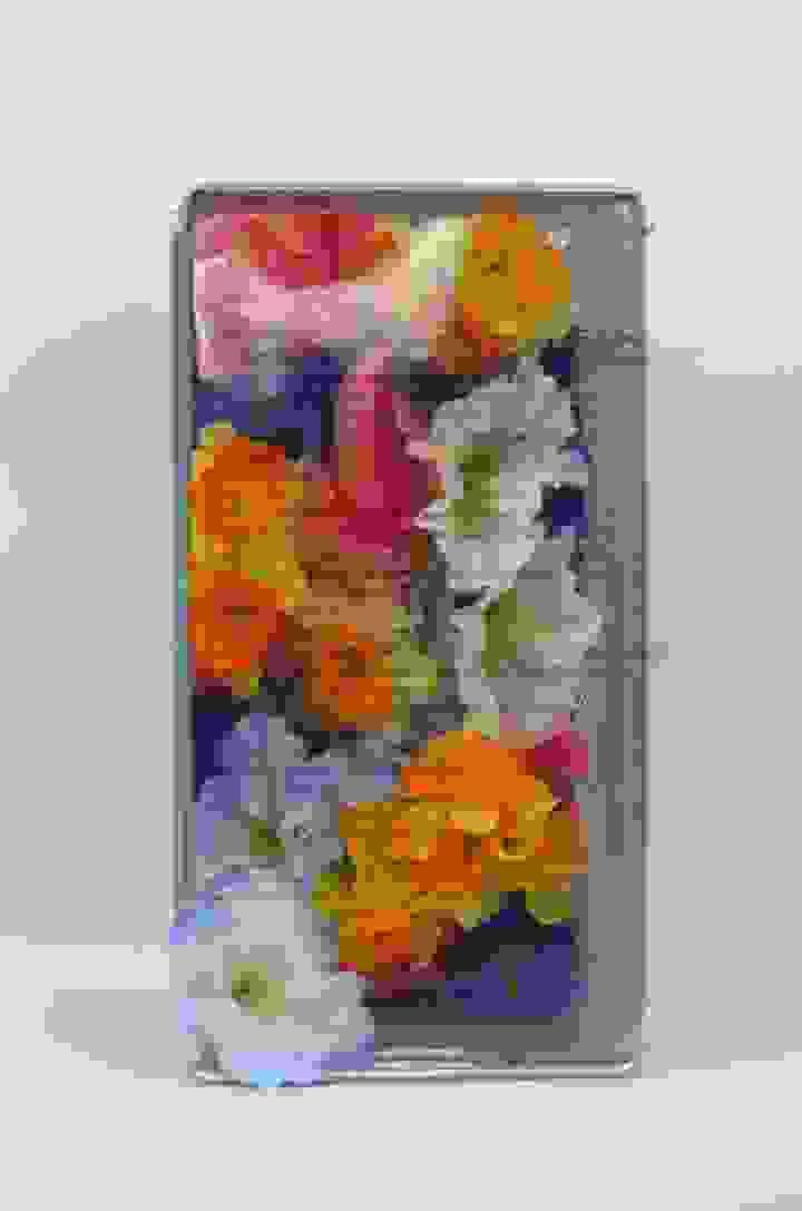 broken image
