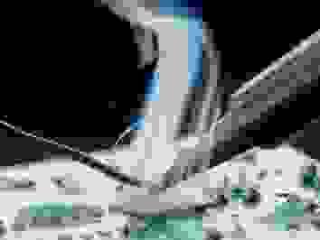 Section image