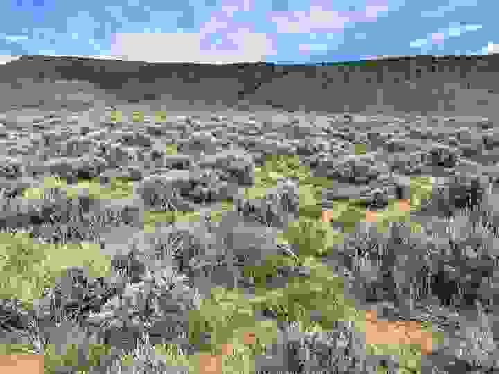 broken image