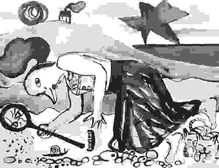 Section image