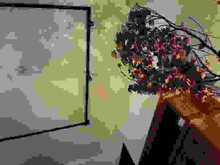 broken image