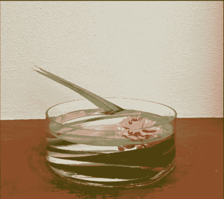 broken image