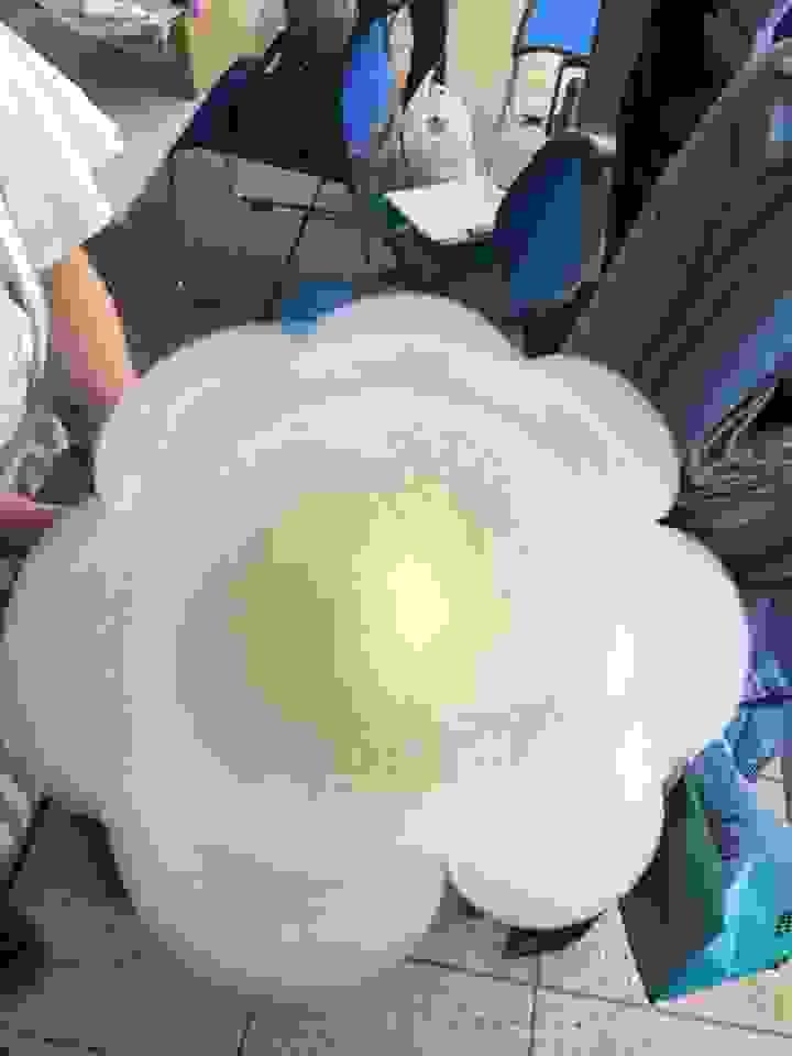broken image