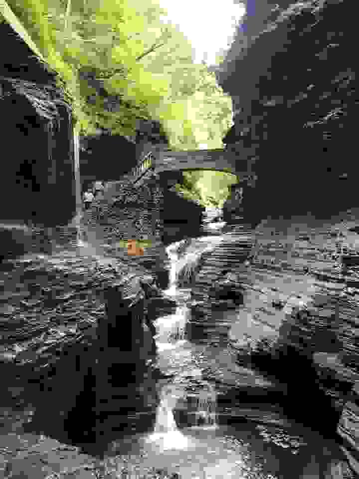 Section image
