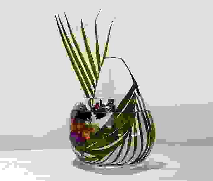 broken image