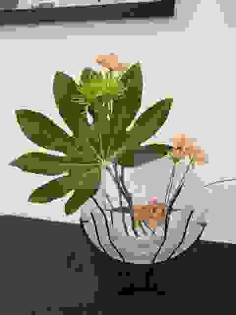 broken image