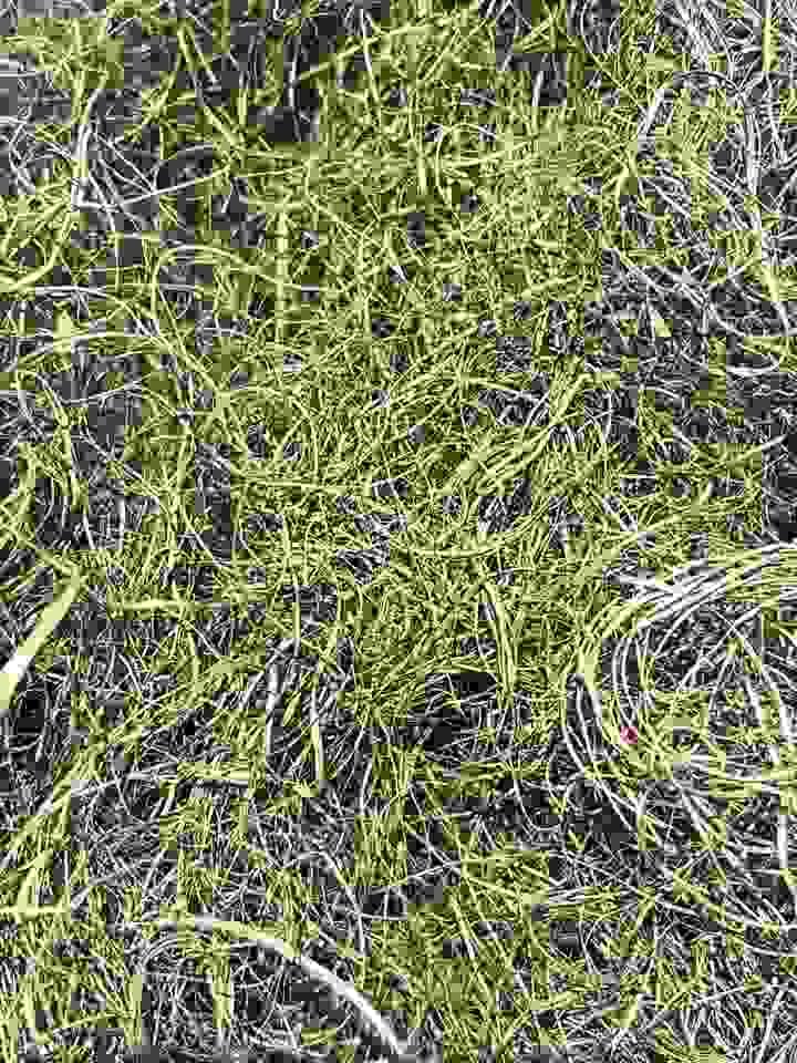 Section image