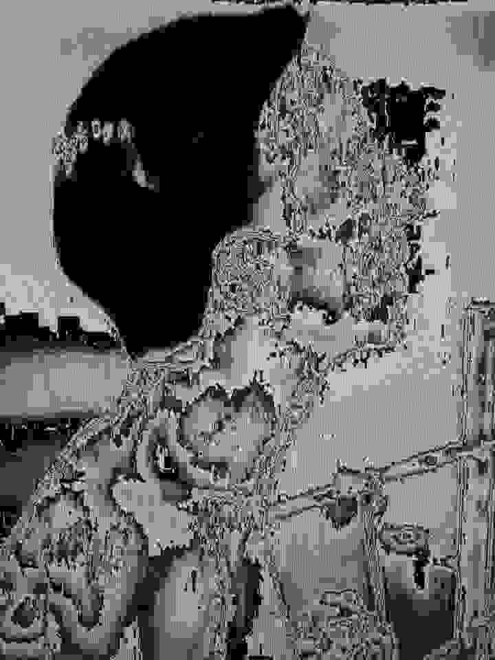 broken image