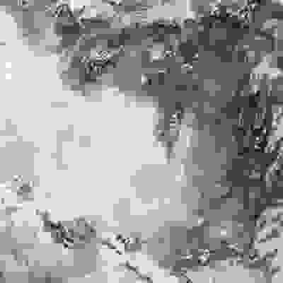 broken image