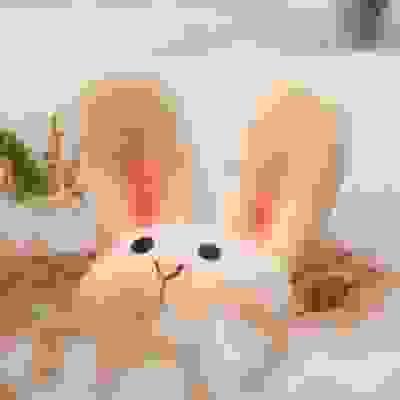 broken image