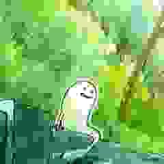 broken image