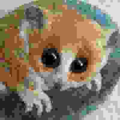 broken image